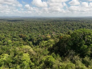 Fototapeta premium Aerial view of dense tropical rainforest stretching toward distant hills under a partly cloudy sky in French Guiana, South America.