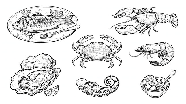Seafood sketch vector set with fish lobster crab shrimp and oyster