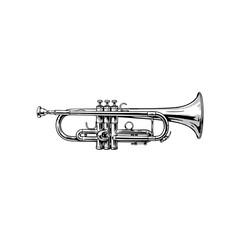 Fototapeta premium Detailed silver brass trumpet musical instrument for jazz band or orchestral performance.
