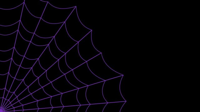 Animated purple cobweb appearing on dark background for halloween festive party design