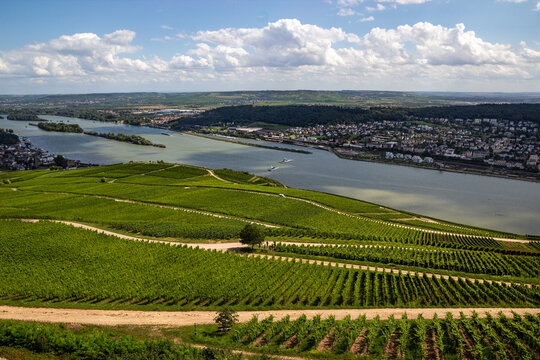 Panoramic view over the Rhine River and green vineyards from the Niederwald Monument near Ruedesheim Germany