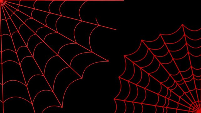 Red spiderwebs appear in corners on black background halloween animated footage clip