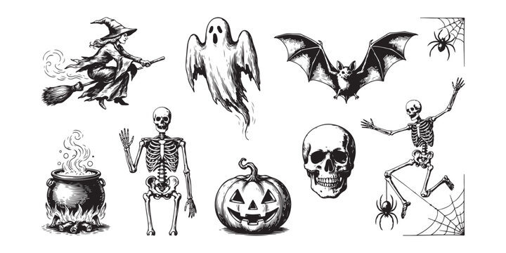 Vintage halloween collection with hand drawn illustrations of witch ghost skeleton bat and spider.