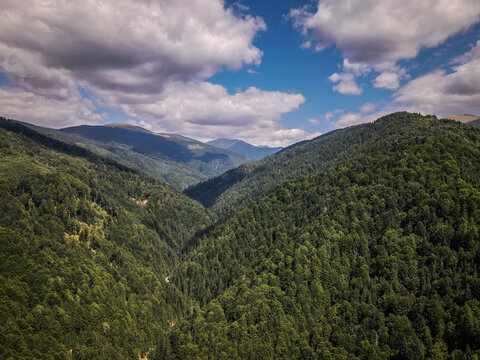 Transfagarasan Road Valley winding through Carpathian Mountains green forests under clouds