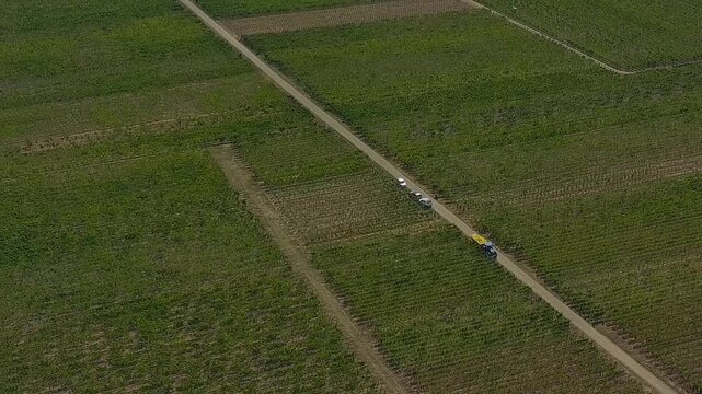 Tracking right alongside tractor pulling trailer through vineyard rows in Bennwihr Alsace France Vosges