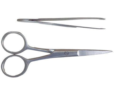 Surgical Scissors and Forceps Isolated on transparent Background Cutout PNG