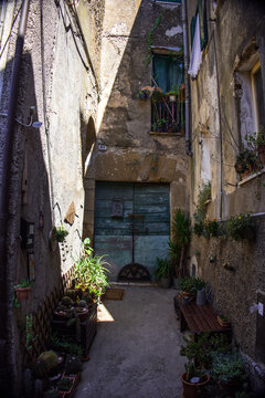 Italian Courtyard