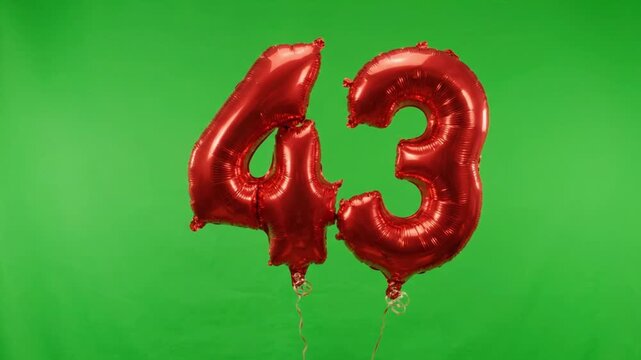 Red foil number 43 balloons on green screen, metallic forty-three birthday balloons for anniversary celebration, shiny inflatable number 43