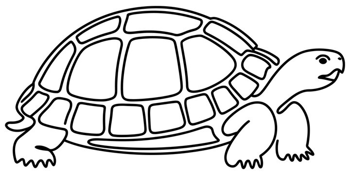 Simple line drawing of a cute turtle with a patterned shell for children coloring books or educational projects isolated on transparent background