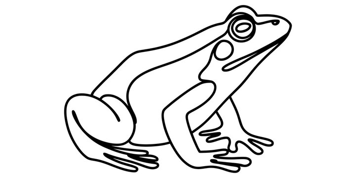 Simple line art illustration of a small frog sitting down isolated on transparent background