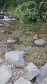 Vertical shot of a crystal clear mountain stream with transparent water showing stones on the riverbed, reflecting pure nature.