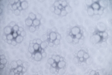 Close up of Black and White Abstract Water Drops on Glass Background © Anna Hoychuk