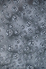 Close up of Black and White Abstract Water Drops on Glass Background © Anna Hoychuk