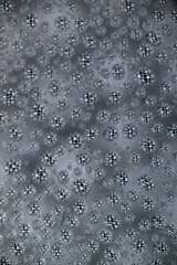 Close up of Black and White Abstract Water Drops on Glass Background © Anna Hoychuk