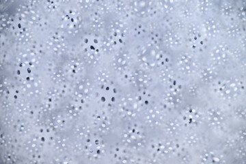 Close up of Black and White Abstract Water Drops on Glass Background © Anna Hoychuk