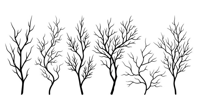 Collection of black silhouettes of various bare tree branches without leaves against a white background.