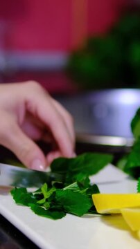 Fresh citrus is carefully cut into thin slices while aromatic mint waits nearby for refreshing recipes. Bright ingredients are prepared for homemade drinks and desserts.