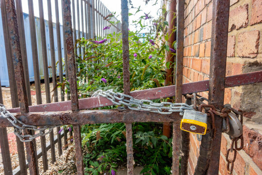 A rusty metal gate is secured with a locked padlock and metal chain