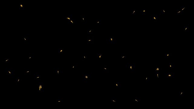 Gold boids flocking swarm simulation animation