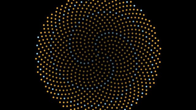 Gold phyllotaxis sunflower spiral animation