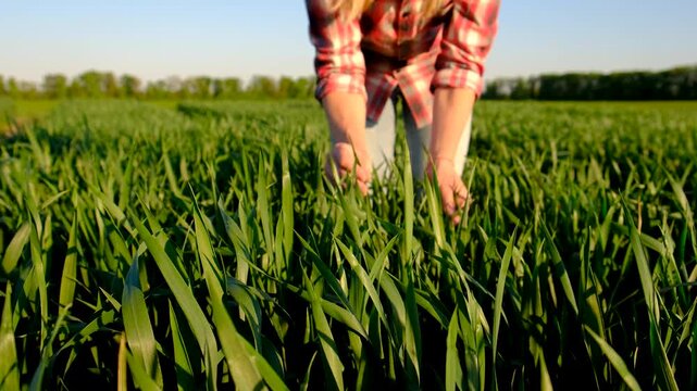 Farmer in the field. Selective focus.