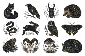 Fototapeta premium PNG Mystical woodland animal illustration set with celestial symbols