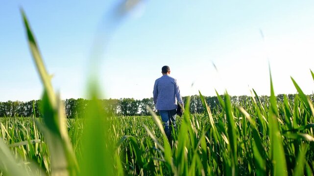 Farmer in the field. Selective focus.