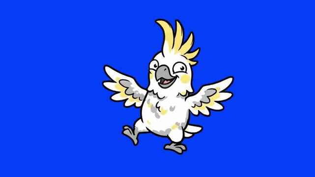 A happy 2D animated white cockatoo parrot with a yellow crest flapping wings excitedly on a blue chroma key background. Suitable for tropical bird videos, pet promos, kids educational content, cartoon