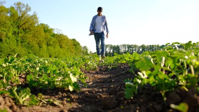Farmer in the field. Selective focus.