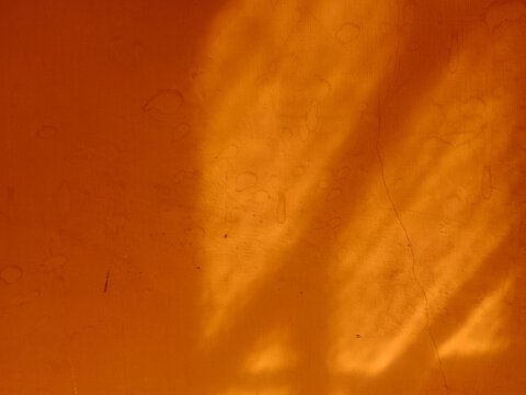 warm orange wall background with soft sunlight projection shadow