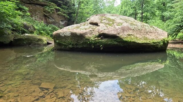 Smooth pan of the iconic Devil's Backbone sandstone formation in a calm creek pool at Bell Smith Springs in Shawnee National Forest, surrounded by dense trees.