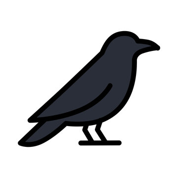 Black Crow Bird Vector Illustration Isolated on White Background