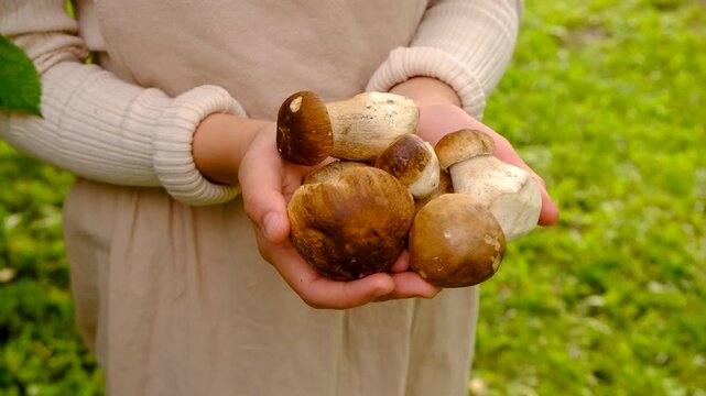 Wild mushrooms in a hand. Selective focus.
