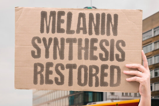 "Melanin synthesis restored" Enzymatic actions revive natural hair tone. MELANIN. SYNTHESIS. PIGMENT. REVERSED. ENZYME.