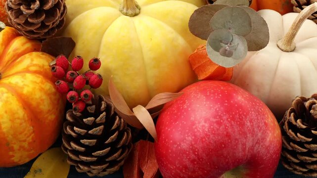 Happy Thanksgiving day. Beautiful composition with pumpkins and pinecones on table, closeup. Camera moving forward