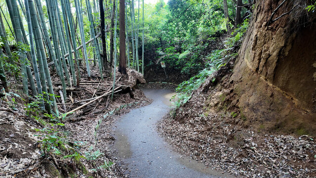 小野路の関屋の切り通し - 東京都町田市, 日本