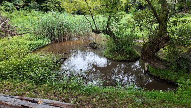 神明谷戸の池と緑豊かな里山風景 - 東京都町田市, 日本