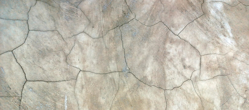 Gray concrete wall surface with obvious branching cracks and weathered texture.