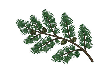 Pine Branch with Pinecones Vector Illustration © langit