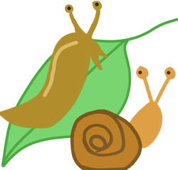 snail © Susan