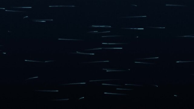 Cyan Wind Streamline Flow Field Data Visualization Loop