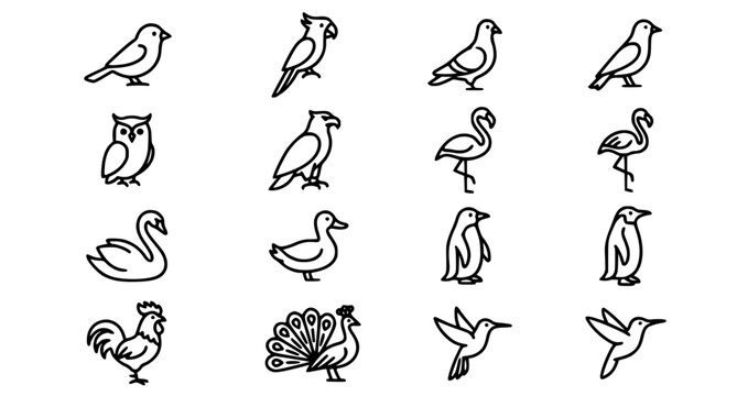 Bird species outline icon set with sparrow parrot owl eagle and other isolated birds
