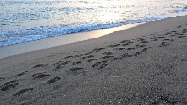 Trails of footsteps leading along the sandy beach at dawn.
A scenic perspective showing long lines of footsteps winding along the tranquil beach as soft dawn light touches the ocean waves.