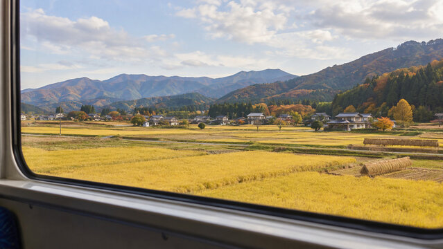 Golden Rice Fields and Mountain Village Seen from a Train in Japan