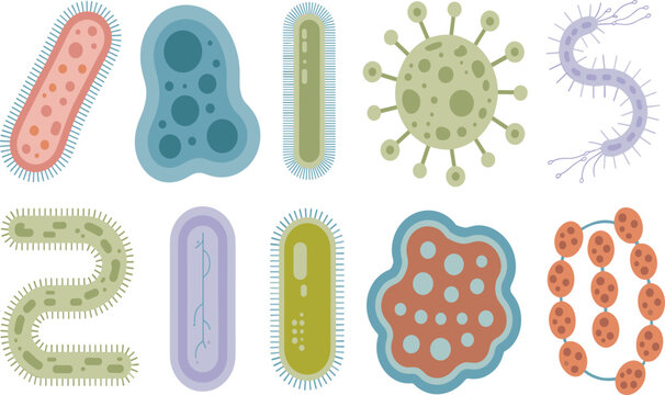 Microorganisms and Bacteria Vector Set Featuring Germs Virus Cells Amoeba Bacilli Spirillum and Microbes for Medical and Science Graphic Designs