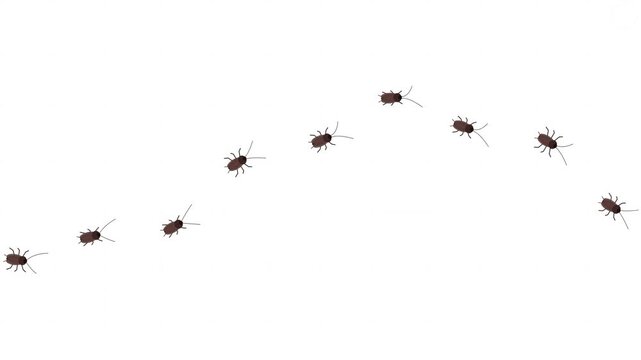A line of cockroaches moving in a wavy pattern against a white background.