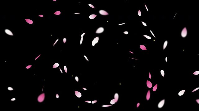 Ume Plum Blossom Petal Burst Explosion 4k animation