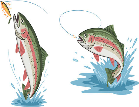 Rainbow trout jumping out of water catching fishing lure, vector illustration set for outdoor sport design