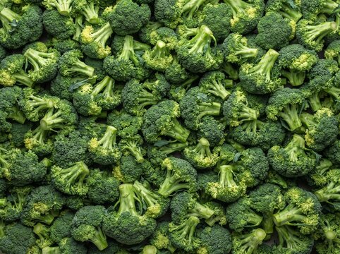 Fresh green broccoli florets piled together, filling the entire frame