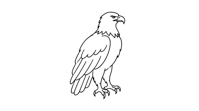 Hand-drawn vector line art illustration of a majestic bald eagle featuring a sharp hooked beak and powerful talons, detailed black and white wildlife icon design for creative projects